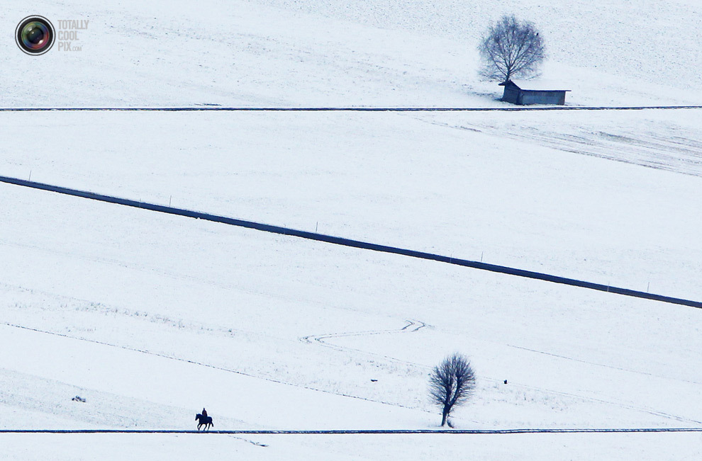 Всадник скачет по полю в Мюлетурнене, Швейцария. (Michael Buholzer/Reuters)